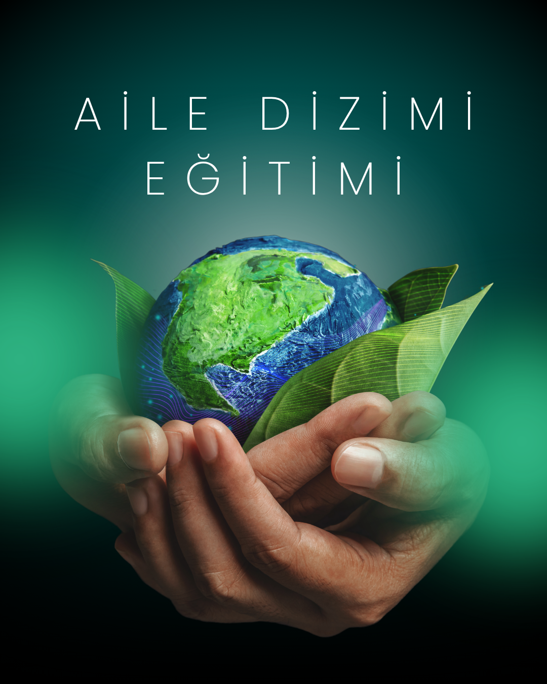 AİLE DİZİMİ